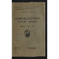Ochrona zabytków kultury ludowej : poradnik terenowy